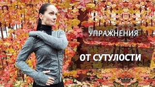 Упражнения от сутулости. Гимнастика для позвоночника и здоровой спины.