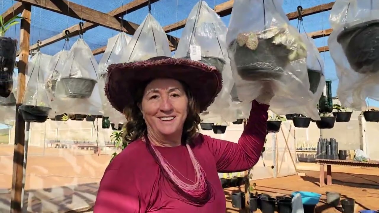 Como cultivar EPISCIA no FRIO!