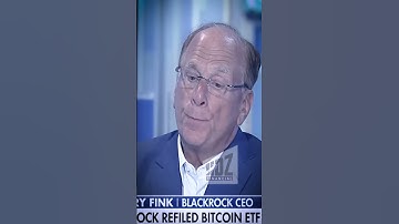 HDZ - Larry Fink Vision