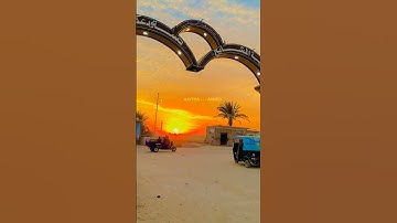 تلاوه نادره جدا من سورة القصص رحمك الله ياقارئ القلوب 🤍الشيخ محمد صديق المنشاوي  فخر الكره الارضيه ✅
