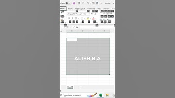 Membuat Border Excel Cepat dengan SHORTCUT #Shorts