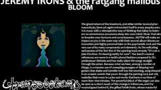 Miniatura de vídeo de "Jeremy Irons & The Ratgang Malibus - Elefanta"