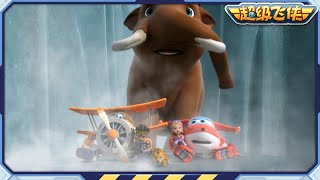 [超级飞侠 Best] 巨型的 | 最佳合集 第34集 | 超级飞侠官方频道 | Superwings | Super Wings