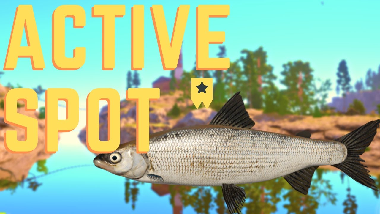 Ladoga Whitefish Active Spot Float + Bottom Ladoga Lake April 9