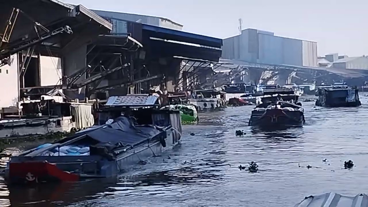 Mua bán lúa gạo sông ăn cư