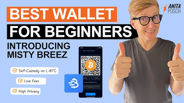 Best Bitcoin Wallet for Beginners in 2025: Introducing Misty Breez