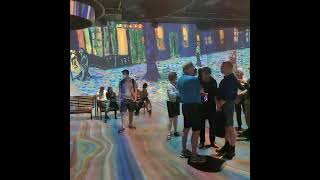 Vincent Van Gogh - an immersive experience
