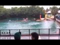 Майами Сиквариум - Шоу дельфинов