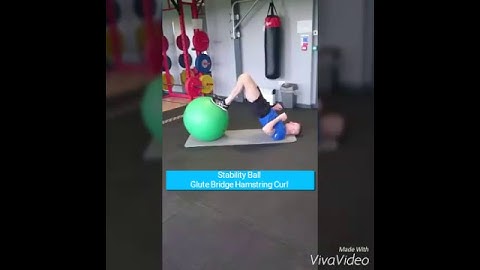 Stability Ball Glute Bridge Hamstring Curl