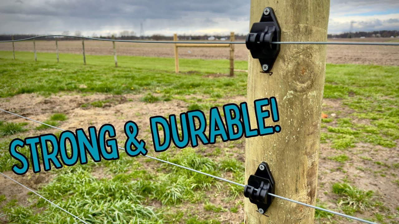 Field Guardian Nail On Fence Post Insulators for High Tensile Wire - 100 Pack | One Year Review