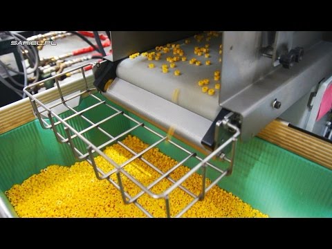 Sariel visits LEGO: inside LEGO molding factory, LEGO vault & LEGO Ideas House
