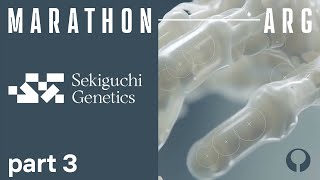 The Marathon ARG Analysis Pt. 3 | Sekiguchi Wealth