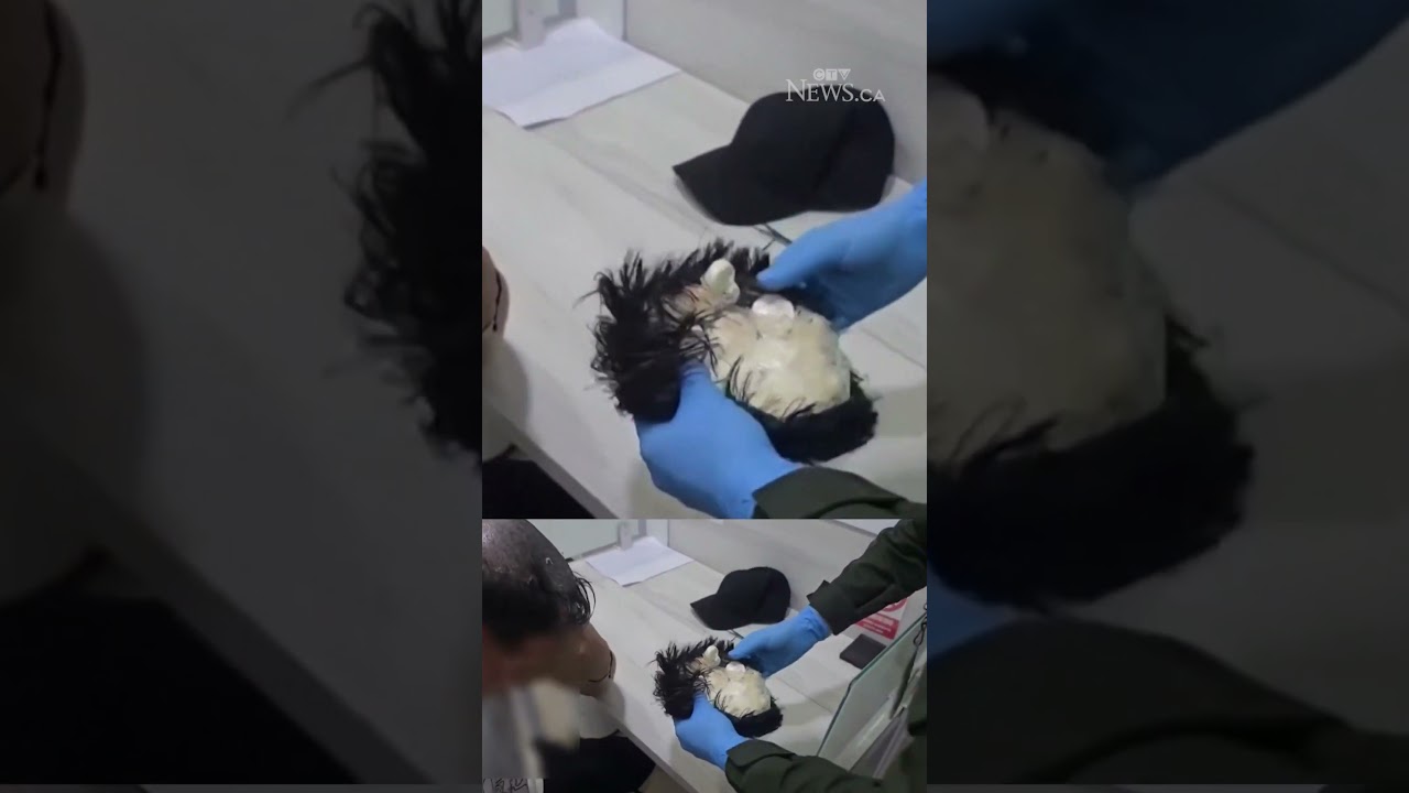 Police cut off man's wig and find a stash of cocaine