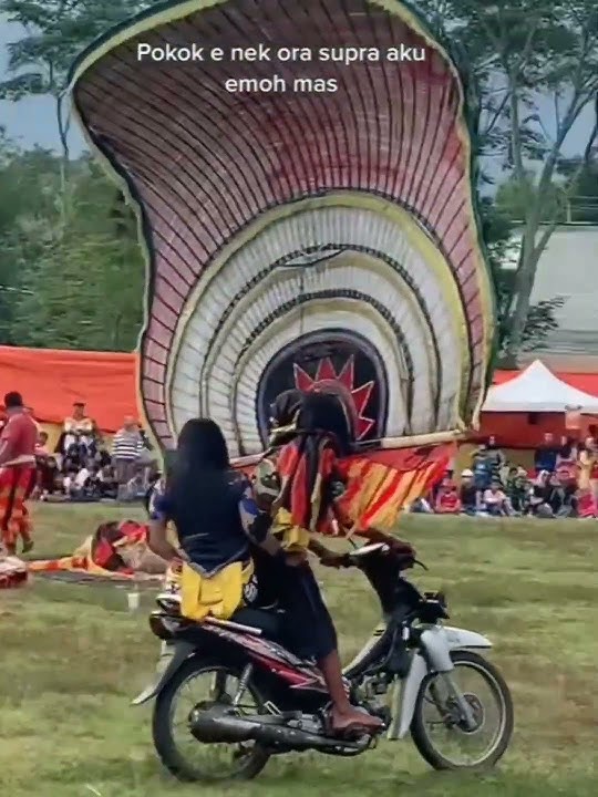 REOG NAIK MOTOR SUPRA
