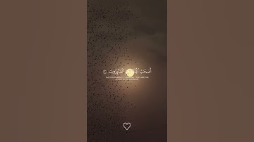 اكتب شيء تؤجر عليه ❤️😴 قران كريم | ياسر الدوسري
