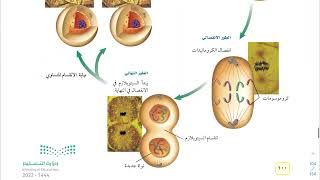 شرح درس انقسام الخلية وتكاثرها علوم ثالث متوسط