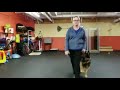 Training a Dog to Heel | Walking with a dog in Heel Training a Dog to Heel | Walking with a dog in Heel