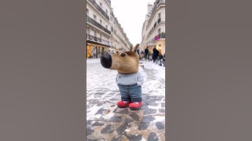 Random videos on my gallery: part 7 #chillguy