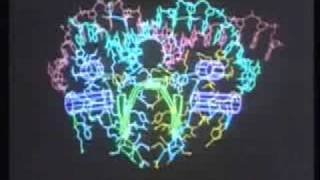 Go Open - Distributed Computing