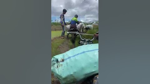 taksi jagung kab.bone