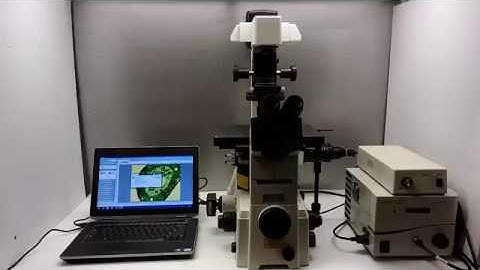 Nikon TE2000-U Inverted Fluorescence Microscope Pred. Ti-U / Ti2 [BOSTONIND] - 12095