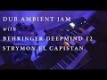 Dub jam with Behringer Deepmind 12 + Strymon El Capistan | closeyoureyes