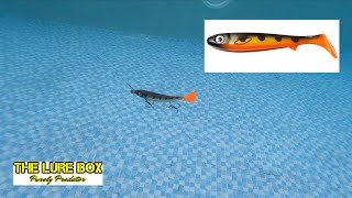 Flatnose Shad 19Cm Underwater Action - .