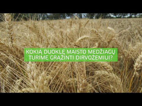 Video: Kokios maistinės medžiagos yra nežaliuose augaluose?