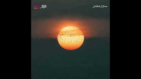 قراءة مميزة من سورة مريم للقارئ الشيخ صلاح باعثمان