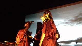 Feist - Cicadas and Gulls