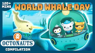 @Octonauts    Riding with Whales  | 2 Hours+ Compilation | Underwater Sea Education for Kids