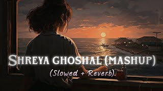 Shreya Ghoshal (Mashup) 2024 | (slowed + reverb) | Mind relaxing hindi songs