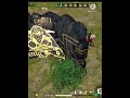 FF 🥰 Solo vs squad gameplay #shorts #freefire #viral