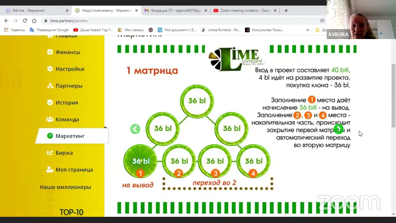 Lime   Zoom Meeting AVRORA