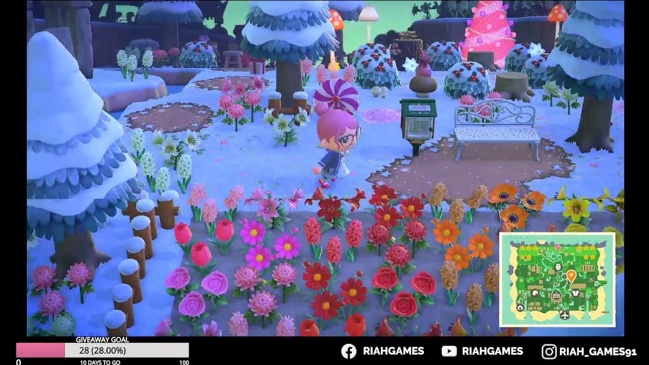 Chill Saturday Animal Crossing DLCDreamy HuntingDream Addresses YouTube