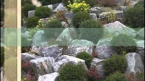 GiáoDục #02-  Truyện GIÁ TRỊ CỦA HÒN ĐÁ