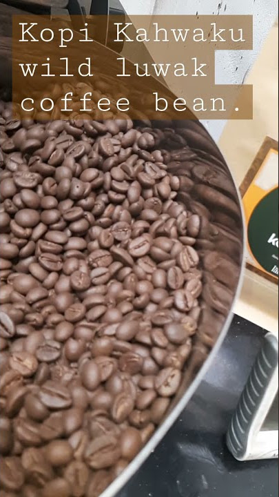 KOPI NIKMAT WILD LUWAK COFFEE FROM KAHWAKU. KOPI MAHAL LANGKA DAN TERBATAS #SHORTS