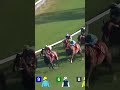 Watch KA YING RISING 嘉應高昇 absolutely smack 'em in the G2 Jockey Club Sprint... 🤯