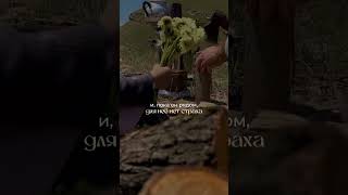 #цитатыосмысле #дочь #ислам #всевышний #дочь #доверенность #жизнь