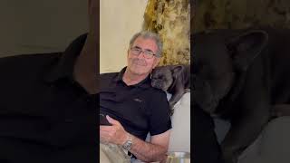 Dog’s Peaceful Slumber While Resting on Man’s Shoulder