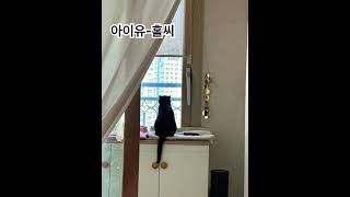 아이유-홀씨 25현가야금 연주,레슨곡