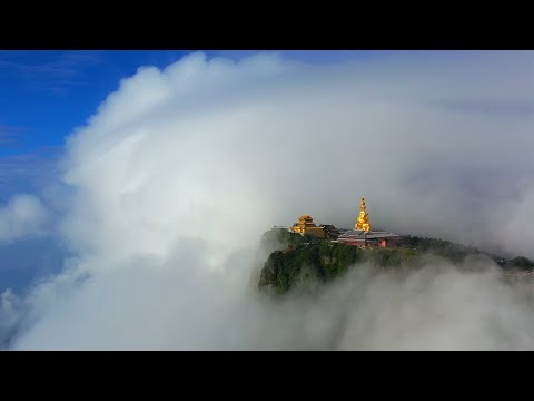 This is Mount Emei , Sichuan.  Buddhist mountain, monkey paradise!