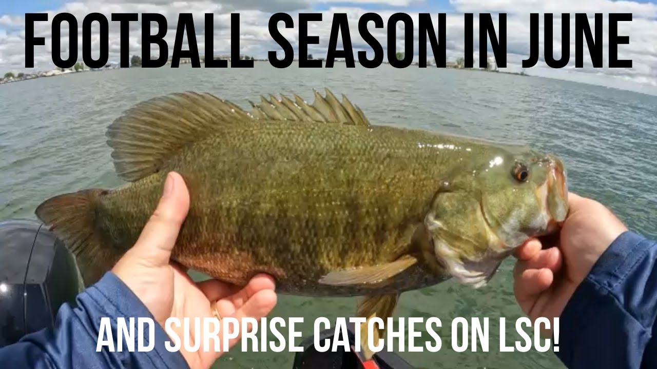 Lake Saint Clair Smallmouth Bass Fishing | Fishing Weedlines In Late May Thru June