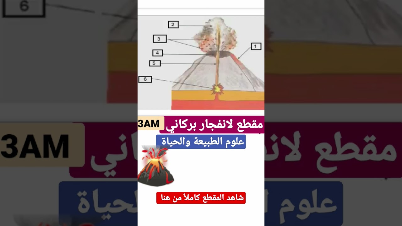 اختبار مادة علوم الطبيعة والحياة للفصل الأول 🌋الثالثة متوسط