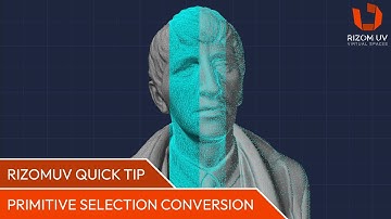 RizomUV Snelle tip: conversie van primitieve selectie