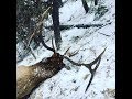 INCREDIBLE solo Elk hunt Idaho | S2E01 | Limitless Outdoors