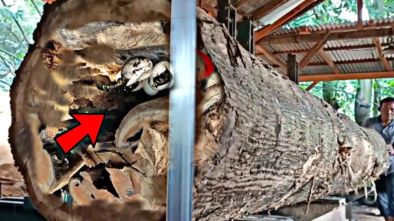 The most expensive teak wood, Joglo material, is processed in