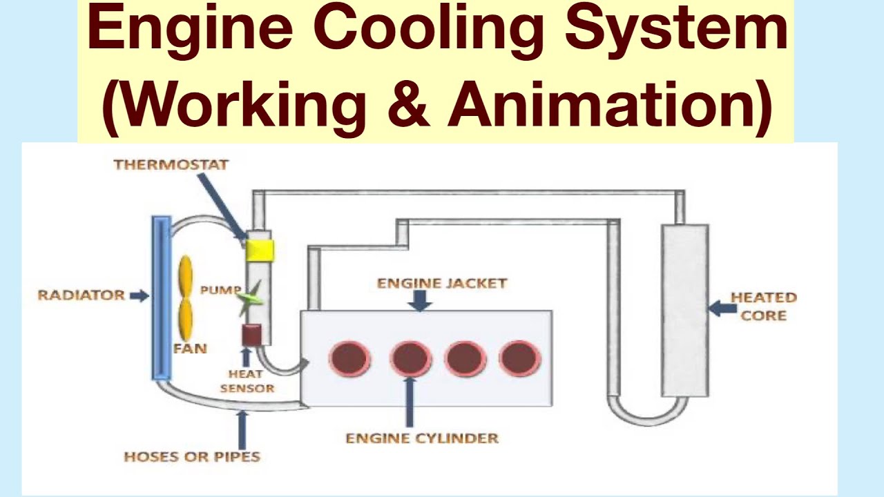 Engine Cooling System Diagram