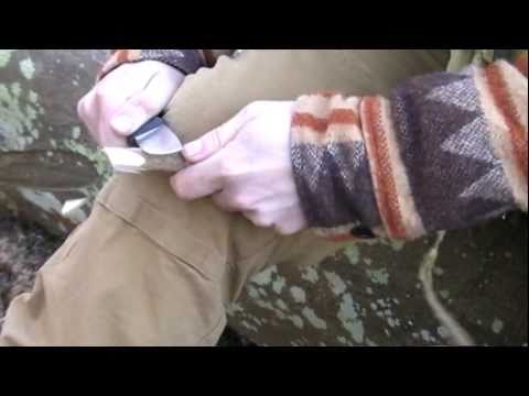 Today Justin Telford of NaturalBushcraft takes a look at the Fallkniven F1 Survival Knife letting us know his thoughts on the knife and we get to put it through it's paces. NaturalBushcraft is a non-commercial organisation of friends sharing the knowledge and skills of Bushcraft freely - www.NaturalBushcraft.co.uk - Music by Spiro www.spiromusic.com