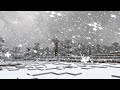 Ice Biome Adventure Vlog part 2